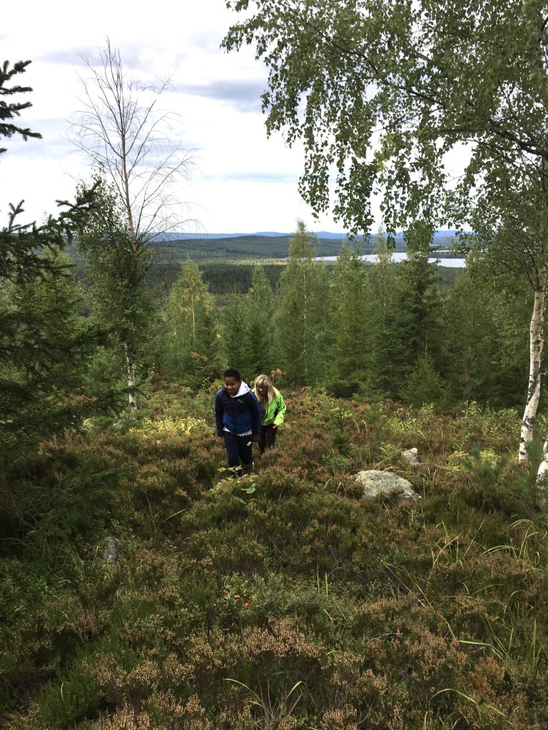 Artinedviksjofors se Learning By Doing Artinedviksjofors se Learning By Doing